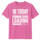 Funny Common Sense Loading Graphic 18 Birthday Unisex T-Shirt