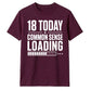 Funny Common Sense Loading Graphic 18 Birthday Unisex T-Shirt