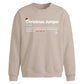 Funny Jumper Definition Art Christmas Oversized Sweatshirt