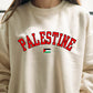 Palestine Crewneck Sweatshirt, Palestine Flag Printed Sweater, Support Palestine Freedom Gaza Protest Top, Palestinian Shirt, Comfy Jumper