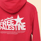 Support Palestine Freedom Hoodie, Free Palestine Solidarity Protest Jumper, Comfort Colors XS-4XL Sizes Comfy Hoody, Save Palestine Clothing