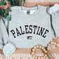 Palestine Sweater, Palestine Flag Printed Crewneck Sweatshirt, Support Palestine Freedom Gaza Protest Top, Palestinian Shirt, Comfy Jumper