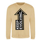 Upward Keep Evolving Arrow Slogan Unisex Sweatshirt